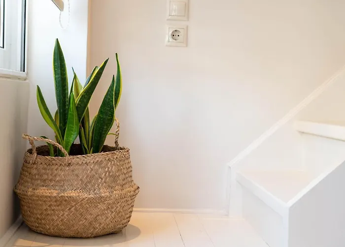 Lejlighed Scala_apartment Kalamata